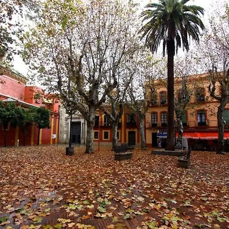 Panther Museo Ii * Seville